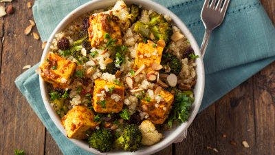 Plant Proteins: Tofu and Tempeh